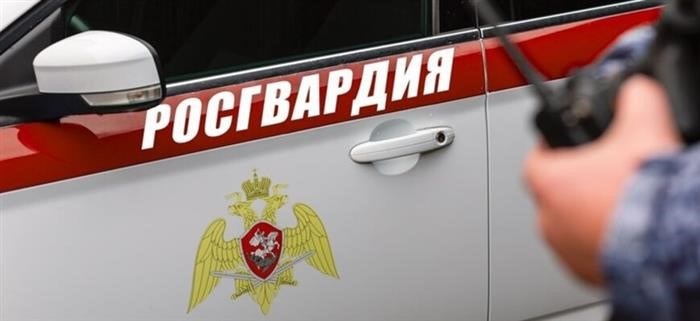 Кому будет подчиняться Национальная гвардия РФ?