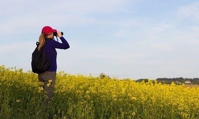 Дополнительные документы, необходимые для оформления договора купли-продажи