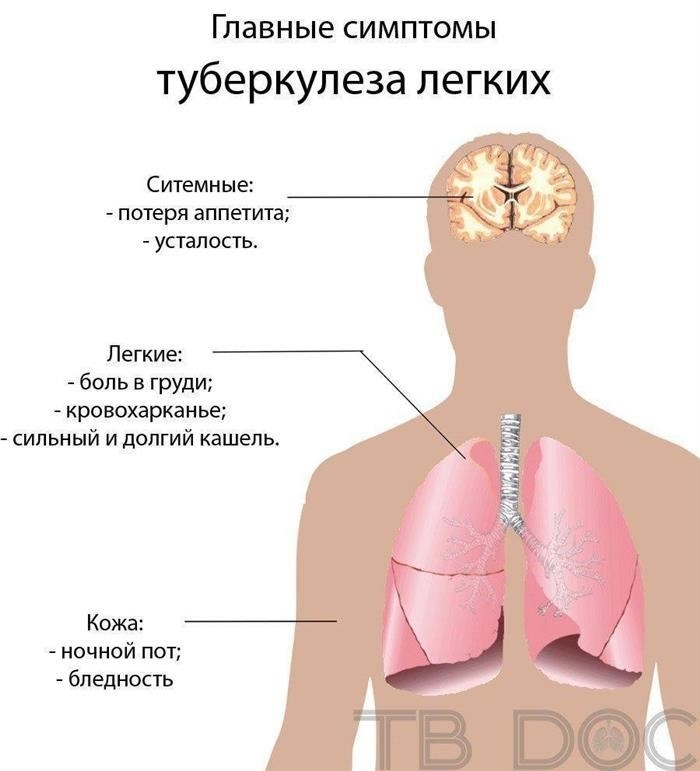 Куда ставят на учет