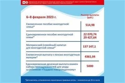 Субсидии многодетным семьям в 2024 году