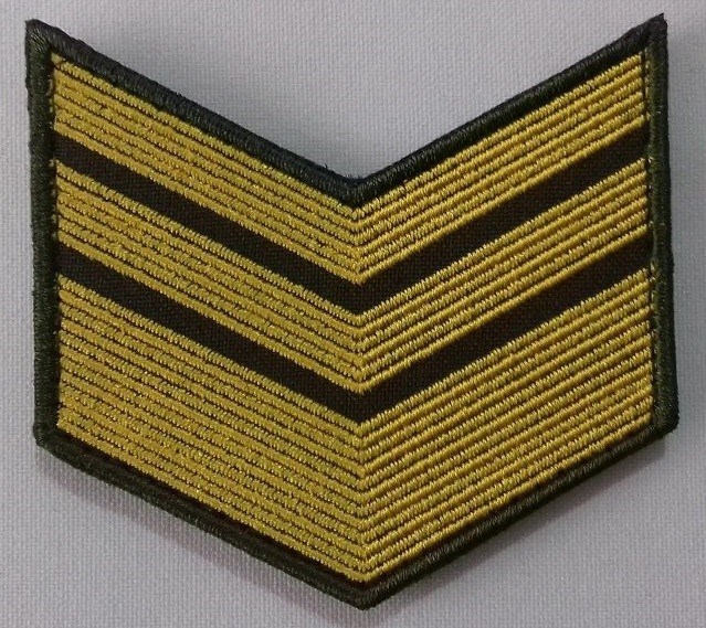 Медаль «300 лет Российской полиции»